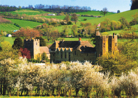 Spring Blossom at Stokesay Castle Post Card