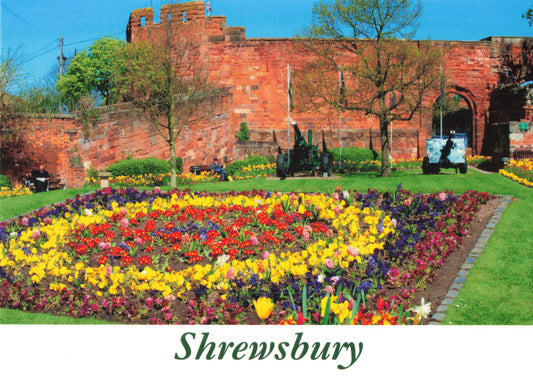 Shrewsbury Castle Postcard