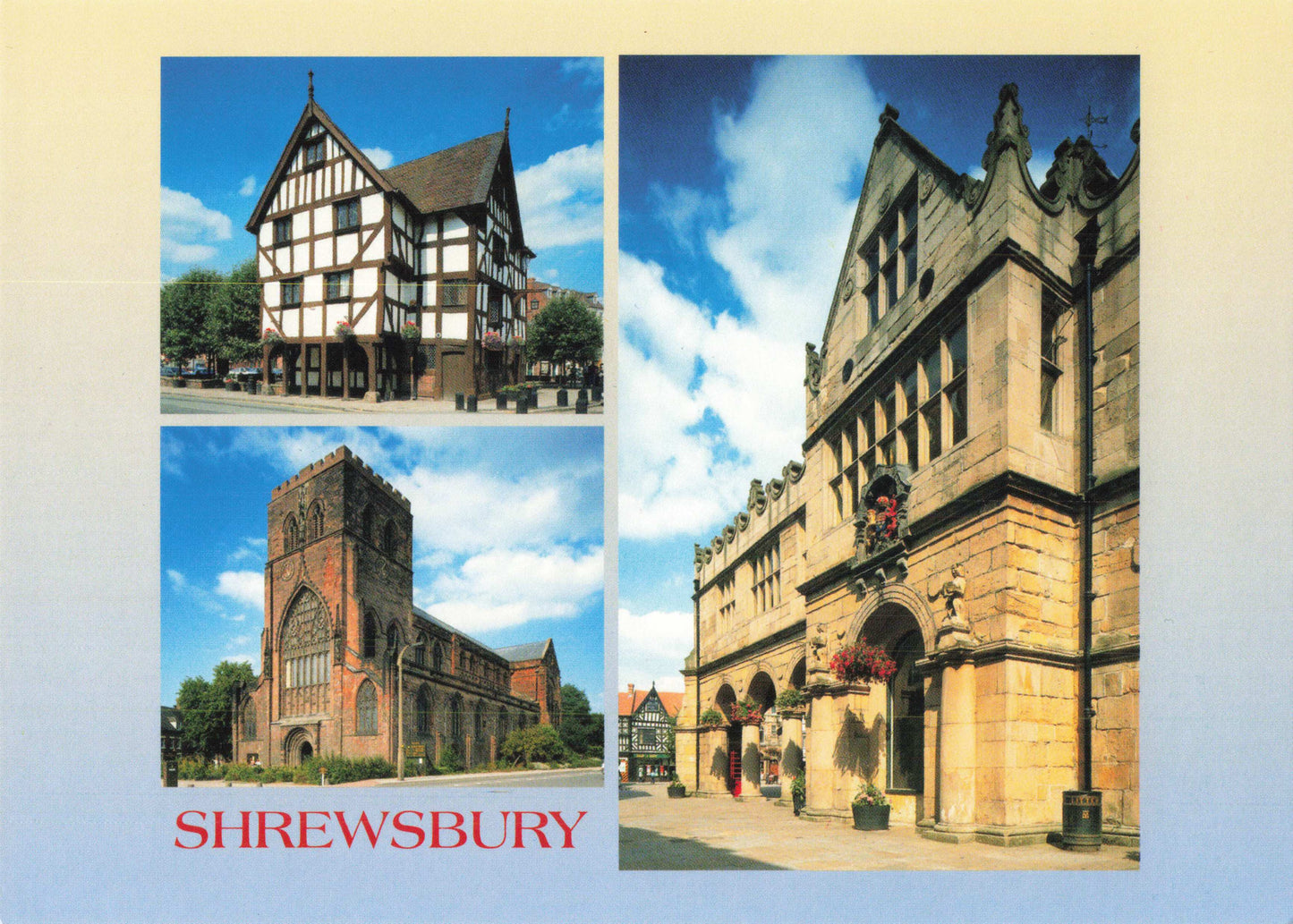Shrewsbury Rowley House Town Hall Abbey Postcard
