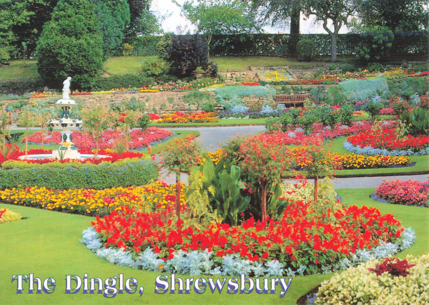 The Dingle Postcard