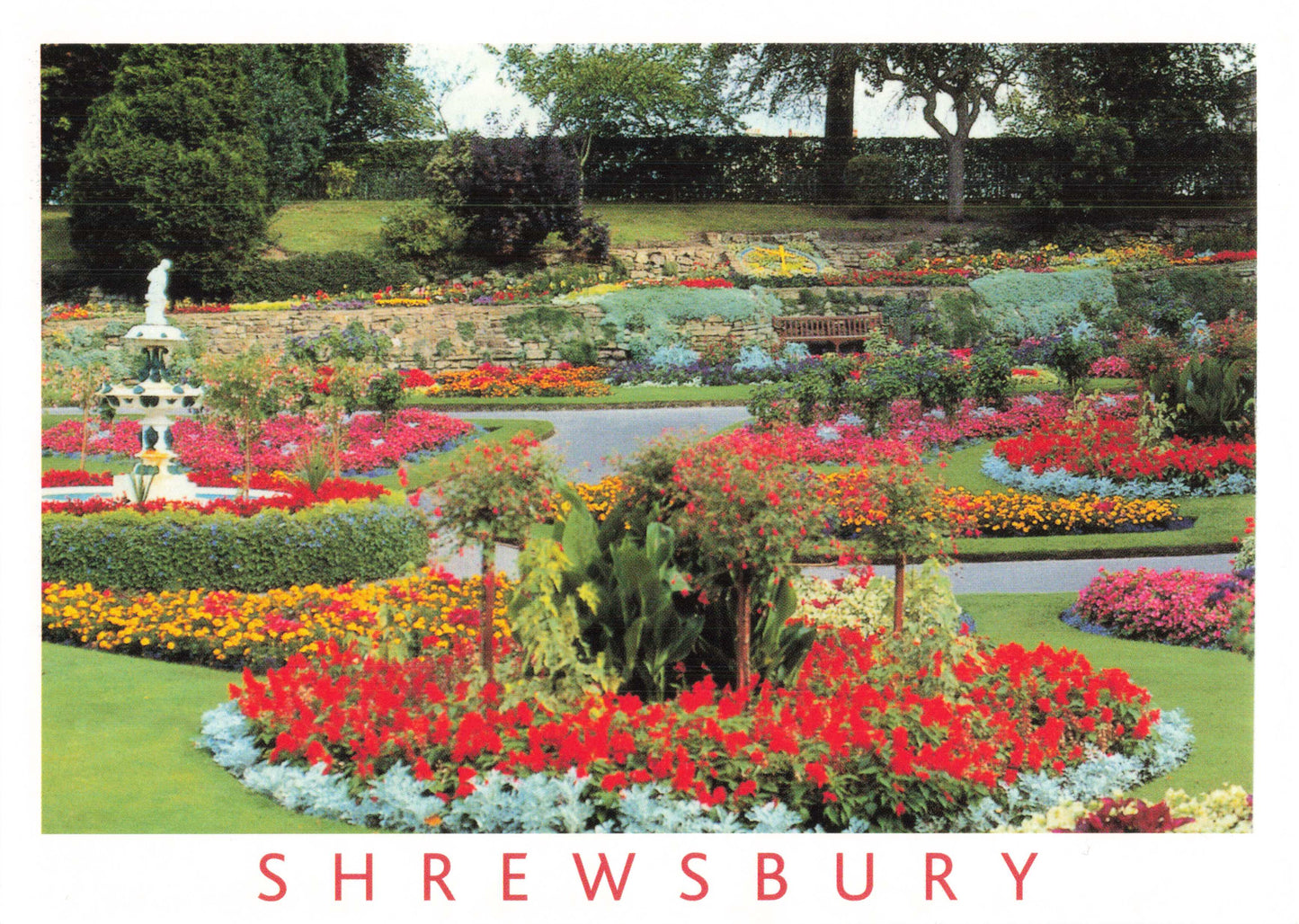 Shrewsbury The Dingle Postcard