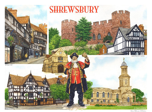 Iconic Images Blank Landscape Shrewsbury Greetings Card