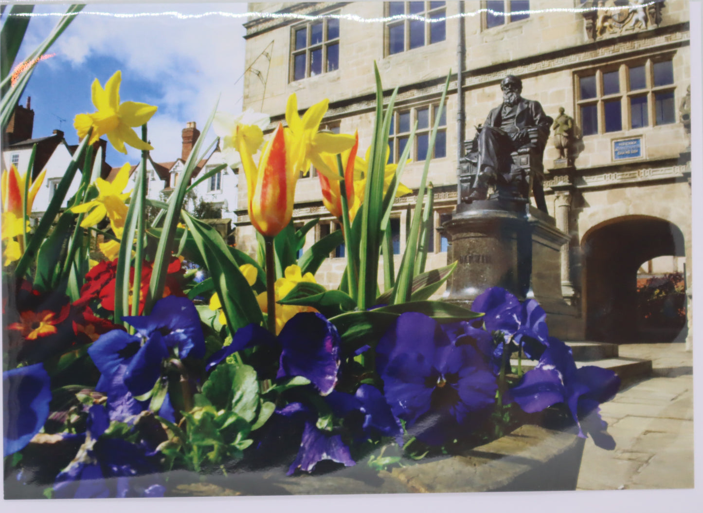 Charles Darwin Statue and Shrewsbury Library Blank Shrewsbury Greetings Card
