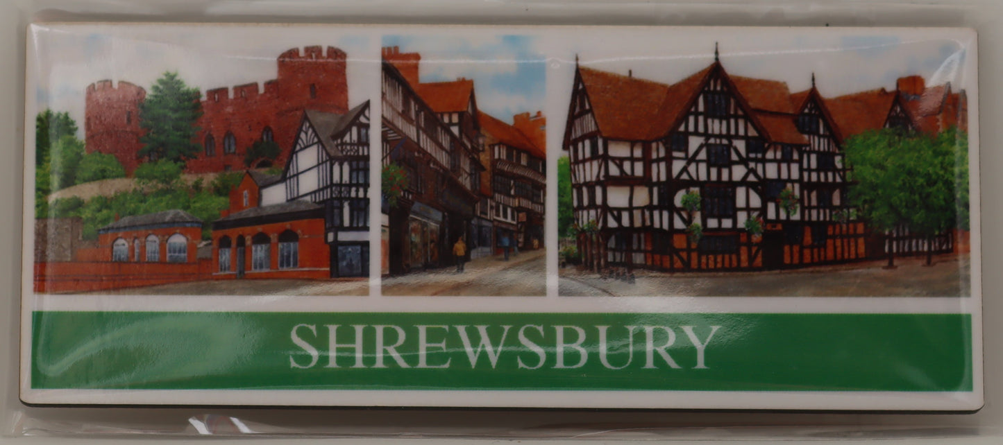 Iconic Images Landscape Shrewsbury Panoramic Fridge Magnet