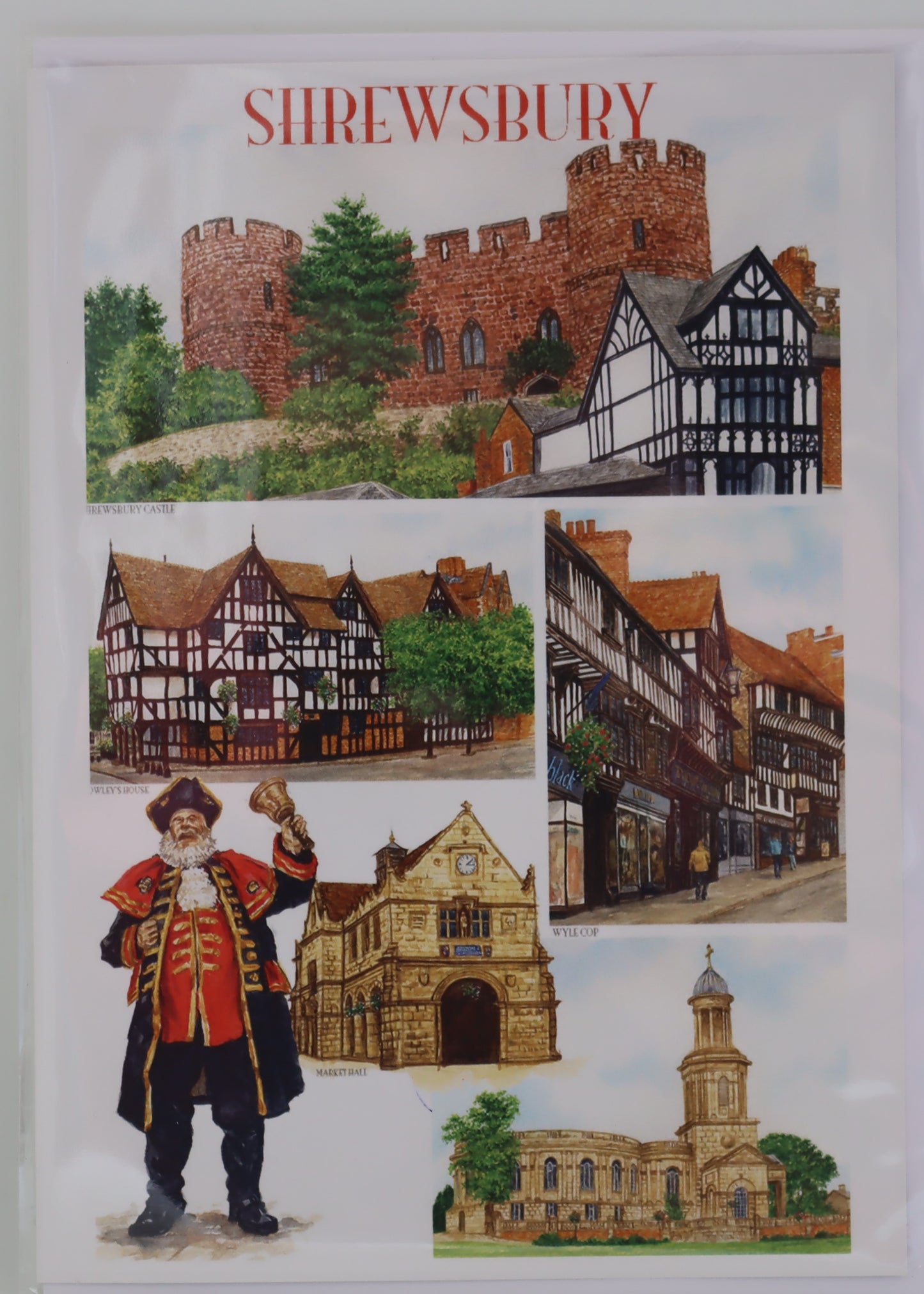 Iconic Images Blank Portrait Shrewsbury Greetings Card