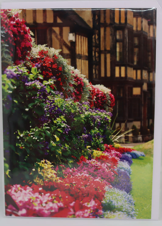 Floral display at Castle Gates House Blank Shrewsbury Greetings Card