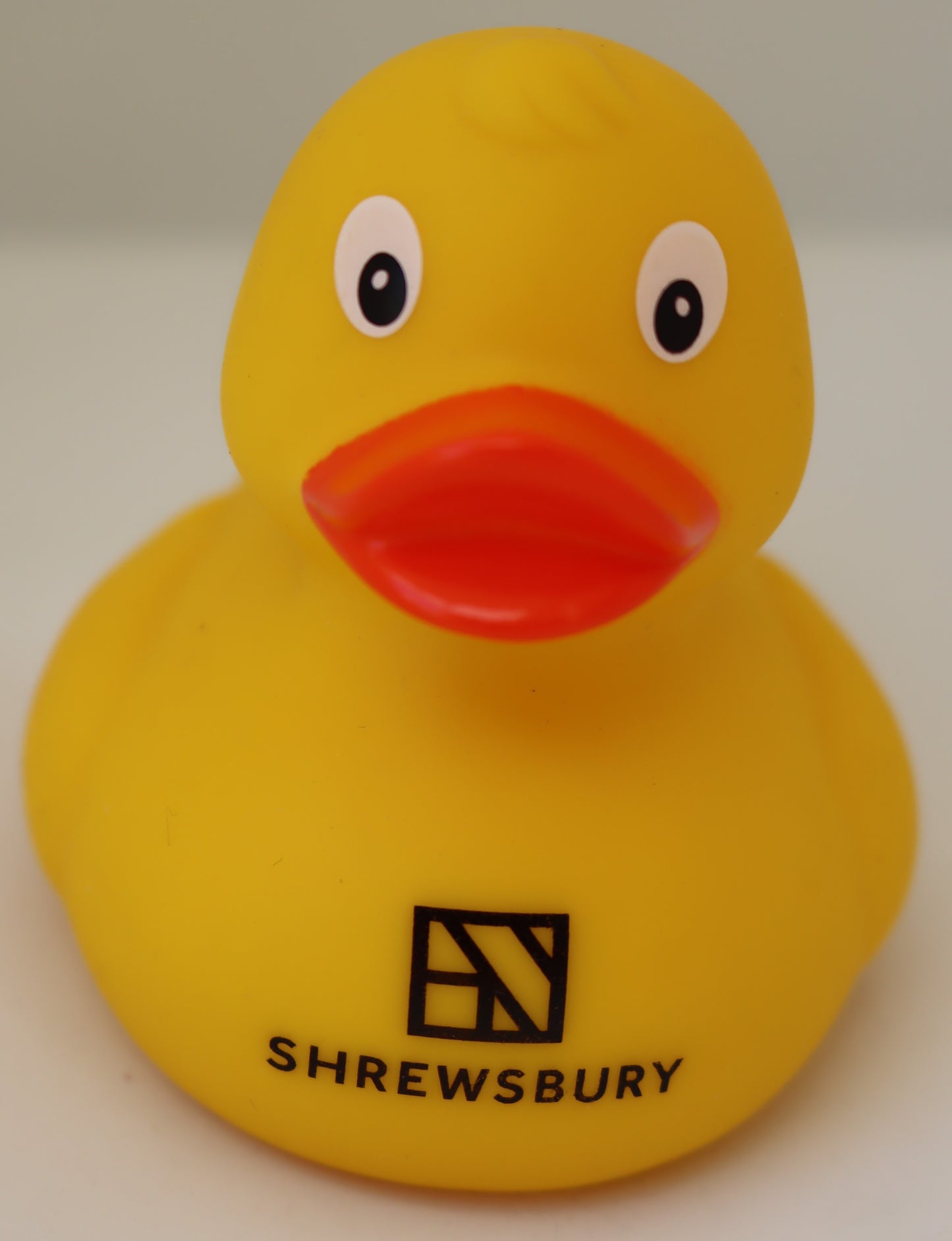 Shrewbury Duck - Logo