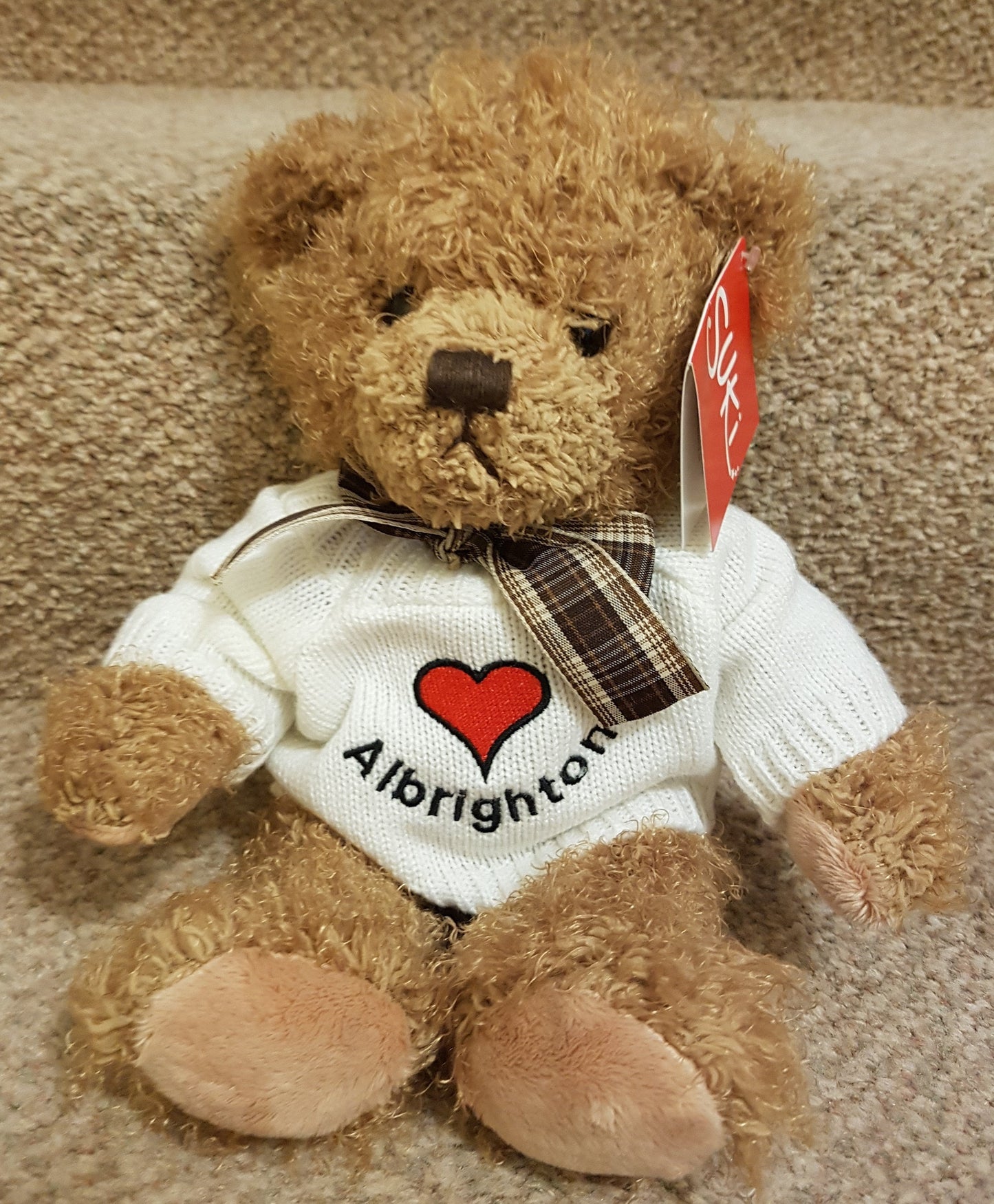 Albrighton Personalised Premium Bear