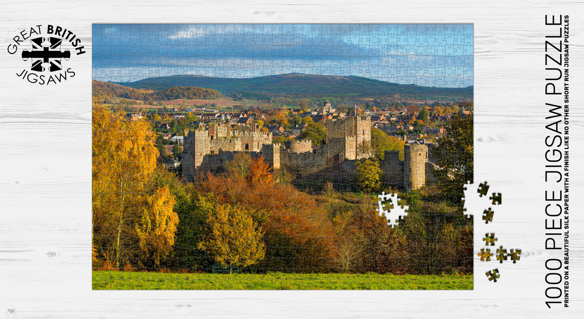 Ludlow from Whitcliffe Common Shropshire